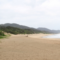 Wybrzeże Oceanu Indyjskiego jest bardzo zróżnicowane.