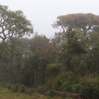Park Narodowy Horton Plains.