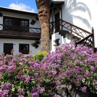 Jameos del Agua.