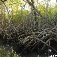 Park Narodowy Los Haitises