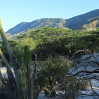 Nad jeziorem Enriquillo