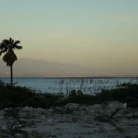 Nad jeziorem Enriquillo