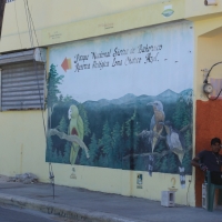 Barahona