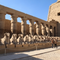 Luxor - świątynia