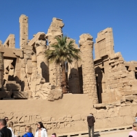 Luxor - świątynia
