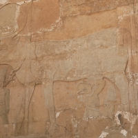 Świątynia królowej Hatszepsut