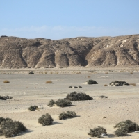 Park Narodowy Wadi el Gemal