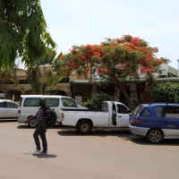 Livingstone