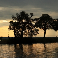 Rzeka Chobe kolo Kasane