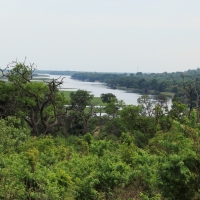 Rzeka Chobe