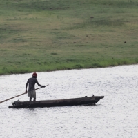 Park Chobe