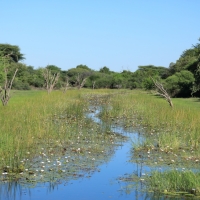 Przejazd nad Okawango