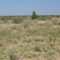 Przejazd do Nxai Pan