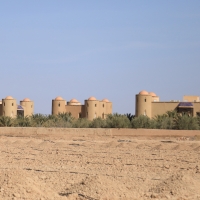 Arab Sebbah
