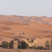 Sahara
