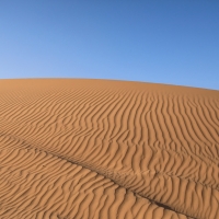 Sahara