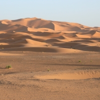 Sahara