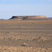 Sahara