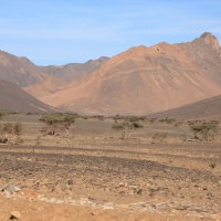 Sahara