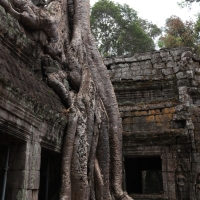 Świątynia Ta Prohm