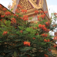 Pałac królewski w Phnom Penh