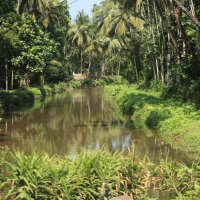 Przejazd do Mudumalai