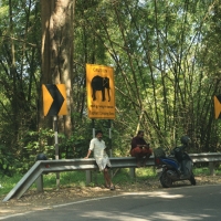 Przejazd do Mudumalai