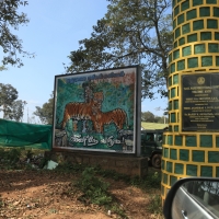 Mudumalai Tiger Reserve