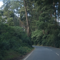Okolice Mudumalai
