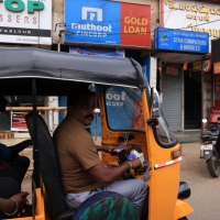 Okolice Mudumalai