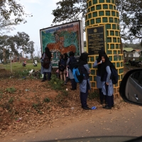 Okolice Mudumalai