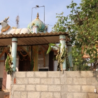 Mysore